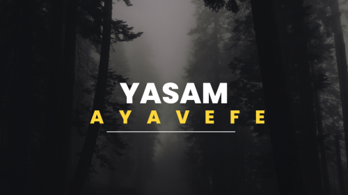 iş adamı yaşam ayavefe